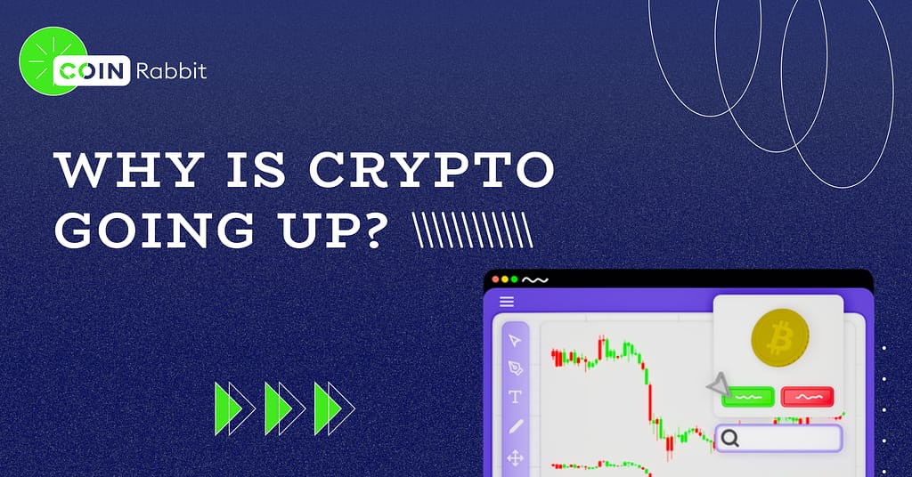 Why Is Crypto Going Up?