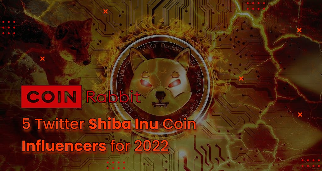 Top 5 Shiba Inu Coin Influencers 2025