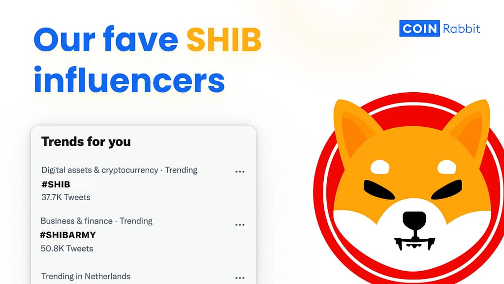 Best Shiba Inu Influencers to Follow in 2025
