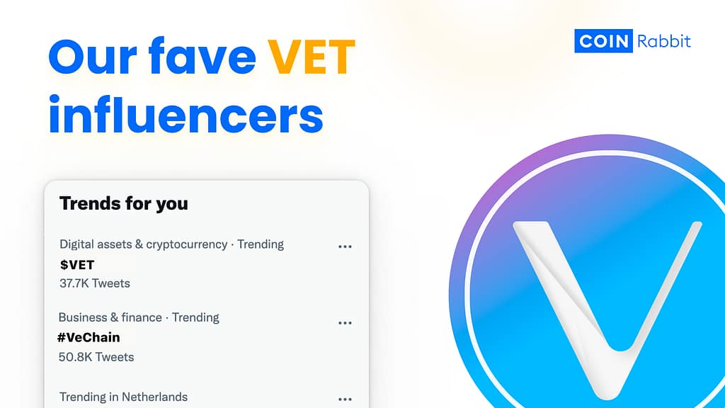 Top 7 VeChain Influencers