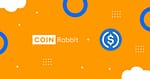 USDC loans at CoinRabbit
