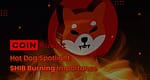 Hot Dog Spotlight: Shiba Inu Burning Importance