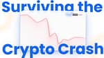 Surviving the Crypto Crash: How to take advantage of the crisis