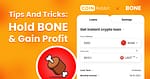 BONE Crypto loans – All You Need to Know