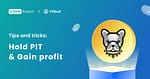 What is $PIT crypto and How to use it to Gain Profit?