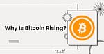 why is bitcoin rising