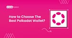 How to Choose The Best Polkadot Wallet? Top DOT Wallet Picks