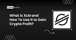 what is xlm