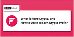 flare crypto