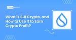 sui crypto